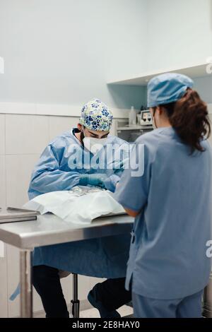 Nicht erkennbarer männlicher Tierarzt Operateur Tierpatient mit medizinischen Werkzeugen Neben der weiblichen Assistentin in der Uniform im Krankenhaus Stockfoto
