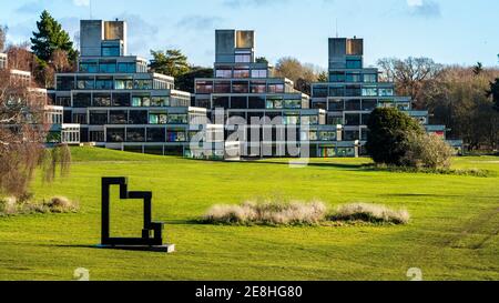 Ziggurats an der Universität von East Anglia UEA in Norwich, UK - die Ziggurats student Unterkunft. Architekt Denys Lasdun eröffnet 1966 Stockfoto