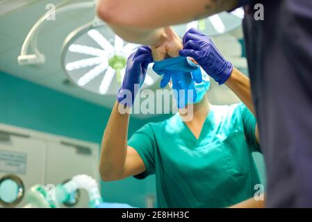 Von unten der nicht erkennbaren weiblichen medizinischen Assistenten helfen Ernte männlich Arzt, um Latexhandschuhe auf die Hände vor der Operation in Moderne Klinik Stockfoto