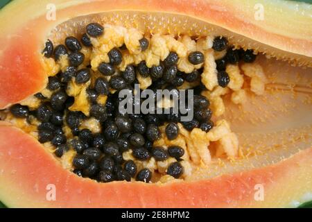 Papaya Half zeigt orangefarbenes Fleisch und schwarze Samen - Sansibar Stockfoto