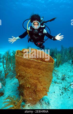 Taucher beim Giant Barrel Sponge (Xestospongia muta) im Korallenriff, Karibik, Dominikanische Republik Stockfoto