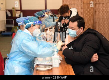 Peking, China. Januar 2021. Ein Arzt impft einen Empfänger mit der zweiten Dosis des Impfstoffes COVID-19 an einer temporären Impfstelle im Bezirk Haidian in Peking, der Hauptstadt Chinas, am 31. Januar 2021 ein. Die Verabreichung der zweiten Dosis von COVID-19-Impfstoffen für Schlüsselgruppen von Bewohnern in Peking begann am 22. Januar und wird voraussichtlich vor dem 8. Februar abgeschlossen sein. Bis Januar 19, Peking hat die Verabreichung der ersten Dosis des Jab unter bestimmten Gruppen von Menschen mit höheren Infektionsrisiken abgeschlossen, und über 1. Quelle: Xinhua/Alamy Live News Stockfoto