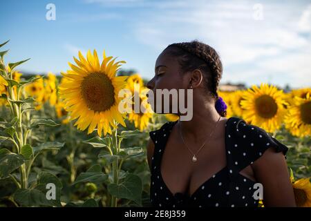 Heitere schwarze weibliche riechende aromatische gelbe Sonnenblume, während sie im Stehen Feld und genießen Sie den Sommer Stockfoto