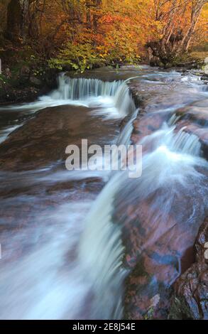 Langzeitbelichtung malerische Landschaft von flachen schnellen Strom fließt zwischen Raue Felsbrocken zwischen Laubbäumen am Herbsttag Stockfoto