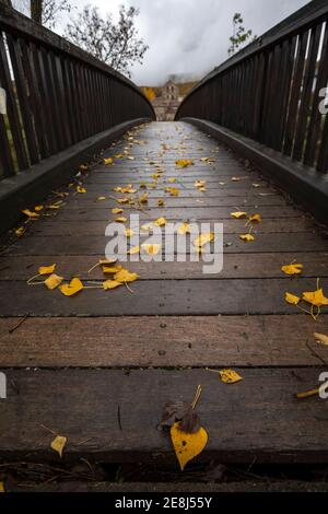 Perspektivischer Blick auf die schmale Fußgängerüberführung aus Holz im Herbstpark Bedeckt mit gelb gefallenen Blättern an bewölktem Tag Stockfoto