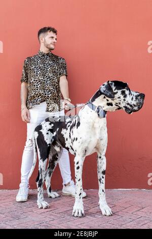 Männlicher Besitzer steht mit großem Harlekin Dogge Hund während Schlendern Sie durch die Stadt und schauen Sie weg Stockfoto