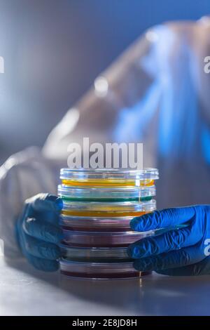 Forscher, die im Labor mit Petrischalen arbeiten Stockfoto