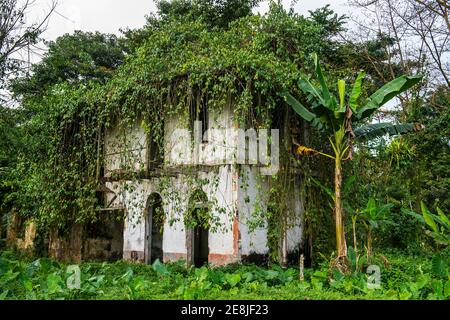 Verfallende Häuser in der alten Plantage Roca Bombaim im Dschungelinneren von Sao Tome, Sao Tome und Principe, Atlantik Stockfoto