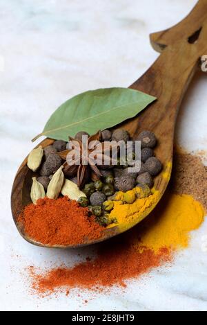 Verschiedene Gewürze in Holzlöffel, Paprika, Chili, Piment, Kurkuma, Sternanis, Kardamom, grüner Pfeffer, Lorbeerblatt, Muskatnusspulver Stockfoto