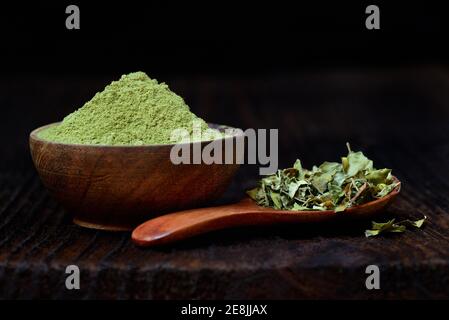 Moringa Blätter in Löffel und Moringa Pulver in Schüssel Stockfoto