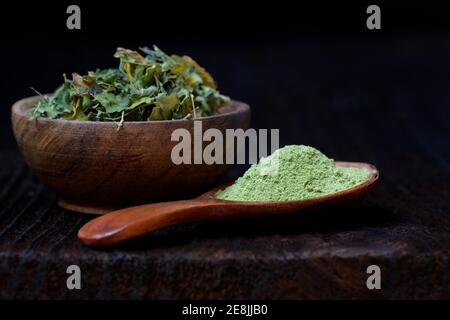 Moringa Blätter in Schüssel und Moringa Pulver in Löffel Stockfoto