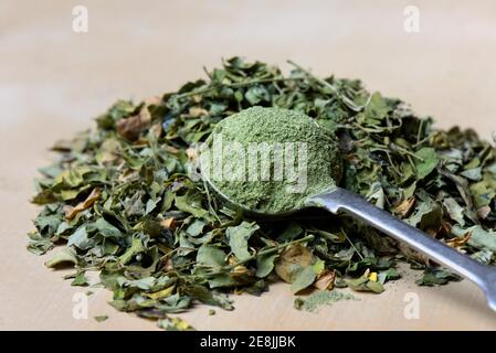 Getrocknete Moringa-Blätter und Moringa-Pulver, Moringa-Tee (Moringa oleifera) Stockfoto