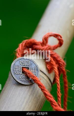 Chinesische Glücksmünzen auf Bambus Stockfoto