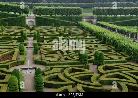 Schlossgarten Villandry, Chateau de, Indre-et-Loire, Loire-Tal, Loire-Tal, Centre, Frankreich Stockfoto
