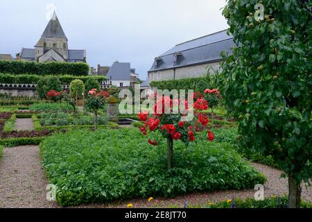 Gemüsegarten von Schloss Villandry, Chateau de, Indre-et-Loire, Loire-Tal, Loire-Tal, Centre, Frankreich Stockfoto