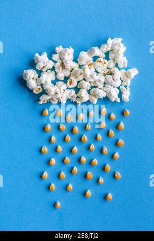 Große Popcornwolke mit Regen aus Maiskörnern Auf blauem Hintergrund mit Kopierplatz Stockfoto