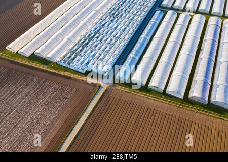 Felder und Gewächshäuser aus der Vogelperspektive, Luftaufnahme, Landwirtschaft, Fellbach, Baden-Württemberg, Deutschland Stockfoto