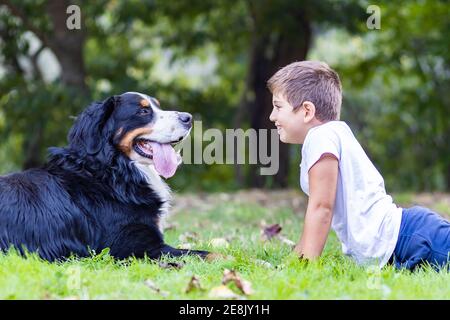 Kleines Kind und Berghund liegen auf einem Feld Stockfoto