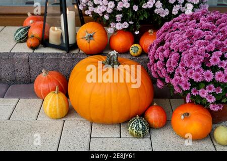 Schöne Dekoration mit Kürbissen, Chrysantheme Blumen und Kerzen. Einrichtung im Herbst Stockfoto