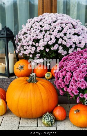 Schöne Dekoration mit Kürbissen, Chrysantheme Blumen und Kerzen. Einrichtung im Herbst Stockfoto