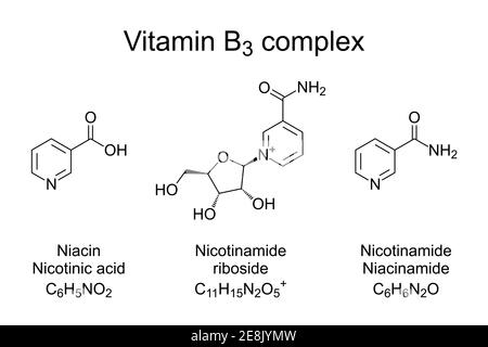 Vitamin B3 komplexe, chemische Formeln. Nicotinamid, Niacin und Nicotinamid Ribosid, die drei Vitamine des Vitamins B3. Stockfoto