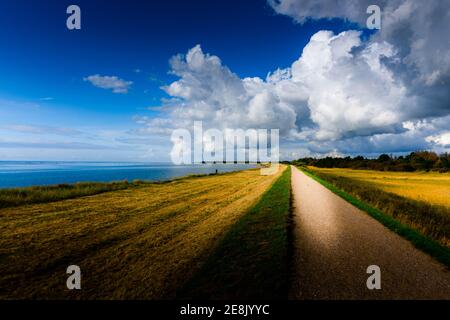 Sandpromenade an der ostsee neben gelbem Feld in Dänemark Stockfoto