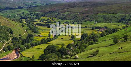 Weiter Panoramablick auf die Heuwiesen und Dorf Muker, Swaledale, Yorkshire Dales Nationalpark. Stockfoto