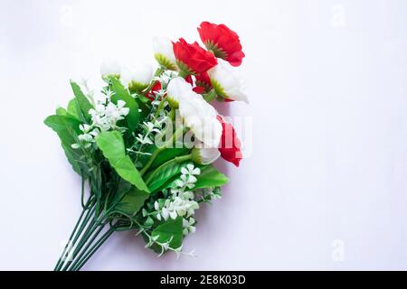 Schöne rote und weiße Rosen auf weißem Hintergrund isoliert Stockfoto