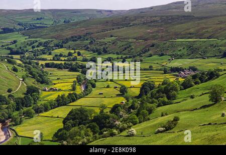 Weiter Panoramablick auf die Heuwiesen und Dorf Muker, Swaledale, Yorkshire Dales Nationalpark. Stockfoto