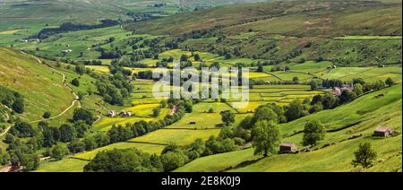 Weiter Panoramablick auf die Heuwiesen und Dorf Muker, Swaledale, Yorkshire Dales Nationalpark. Stockfoto