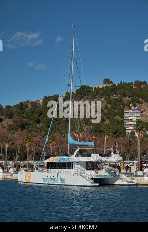 Katamaran für touristische Ausflüge in Port of Malaga, Muelle uno, Andalusien, Costa del sol, Spanien. Stockfoto