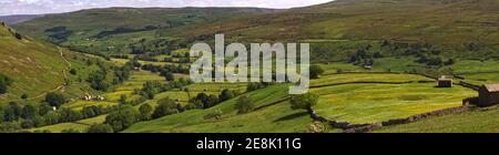 Weiter Panoramablick auf die Heuwiesen und Dorf Muker, Swaledale, Yorkshire Dales Nationalpark. Stockfoto