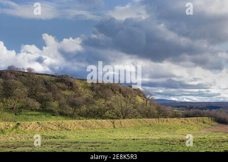 Die Nordwand der Walltown Crags mit an ihrer Basis, die Überreste einer alten Bahnstraße, die Greenhead Quarry, Hadrian's Wall, Northumberland, Großbritannien führte Stockfoto