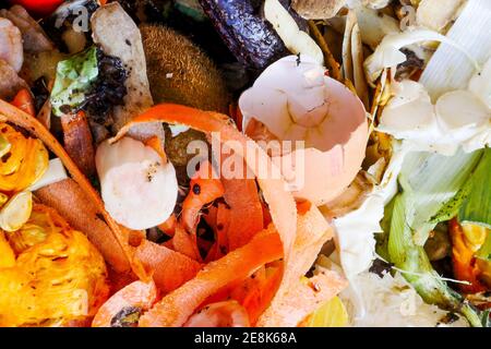 Obst und Gemüse Schalen in einem Kompost Container, Bron, Frankreich gestapelt Stockfoto