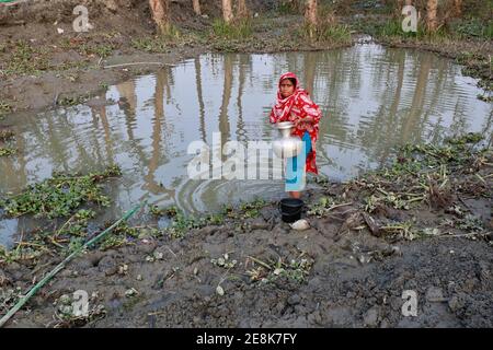 Bagerhat, Bangladesch - 21. Januar 2021: Die Wirkung von Salzwasser ist mehr in den Küstengebieten von Bangladesch. Die Menschen in dieser Region leiden viel unter f Stockfoto