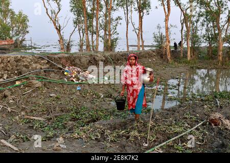 Bagerhat, Bangladesch - 21. Januar 2021: Die Wirkung von Salzwasser ist mehr in den Küstengebieten von Bangladesch. Die Menschen in dieser Region leiden viel unter f Stockfoto