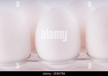 Gruppe von weißen Hühnereiern aus der Farm. Gesunde Lebensmittel Zutat auf hellem Hintergrund. Nahaufnahme Stockfoto