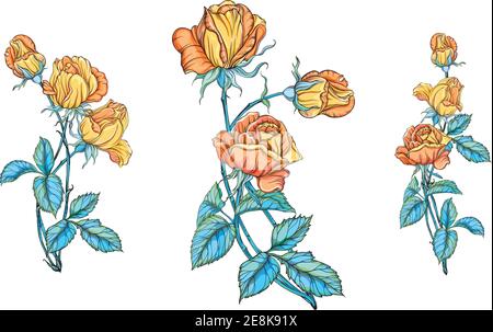 Set von Blumensträußen mit gelben Rosen. Gelbe Rosen. Stock Vektor