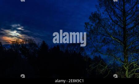 Wolkig Dunkle Nacht mit Vollmond hinter Bäumen Stockfoto