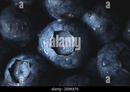 Heidelbeeren mit Wassertropfen bedeckt. Makrofotografie von frischen Blaubeeren. Reife Heidelbeeren Hintergrund. Heidelbeeren-Textur. Essen Fotografie sammeln Stockfoto
