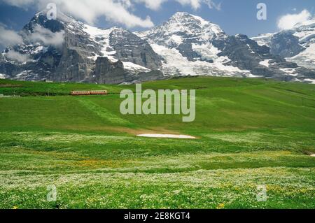 Almwiese unterhalb von Eiger, Mönch und Jungfrau, mit einem Zug auf der Jungfraubahn, der die kleine Scheidegg verlässt. Stockfoto