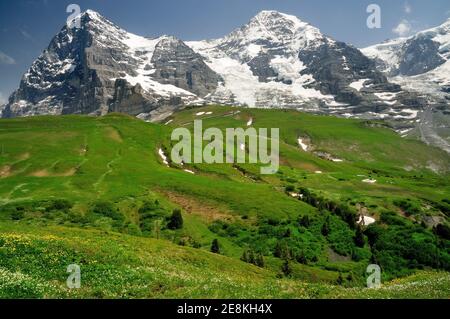 Almwiese unterhalb des Eiger, des Monchs und der Jungfrau. Stockfoto