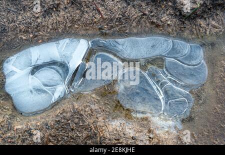 Eine Fuß oder Boot geformte gefrorene Pfütze auf einem schlammigen Pfad mit Mustern von gefrorenem und wieder gefrorenem Eis Stockfoto