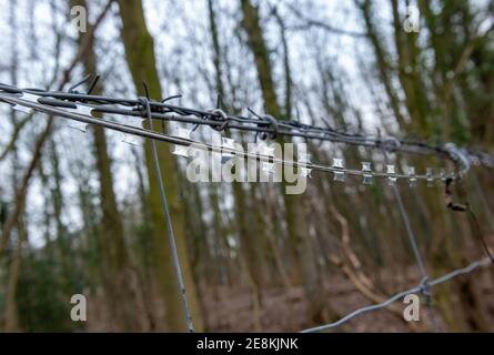 Nahaufnahme von Stacheldraht und Stacheldraht Oben auf einem Zaun mit verschwommenen Bäumen im Hintergrund Stockfoto
