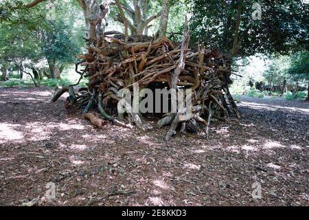 Ein Unterstand aus Holzzweigen in einem Wald Stockfoto