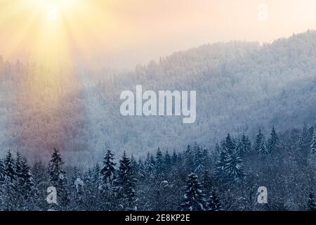 Wald im Schnee bei Sonnenuntergang, Berge von Gorski kotar, Kroatien Stockfoto