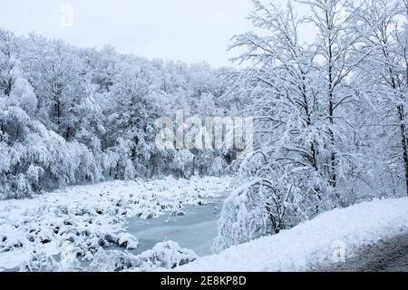 Schnee hängt schwer auf Bäumen im ländlichen Norden von Pennsylvania, USA Stockfoto