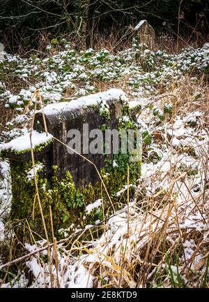 Schneebedeckter Grabstein im Winter Stockfoto