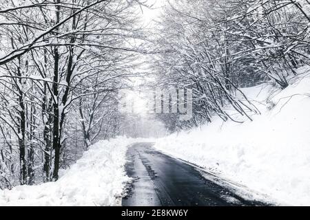 Straße in einem verschneiten Wald in den Bergen in der Lombardei, Italien. Stockfoto