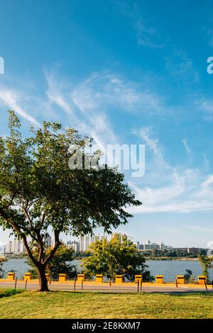 Jamsil Hangang River Park in Seoul, korea Stockfoto